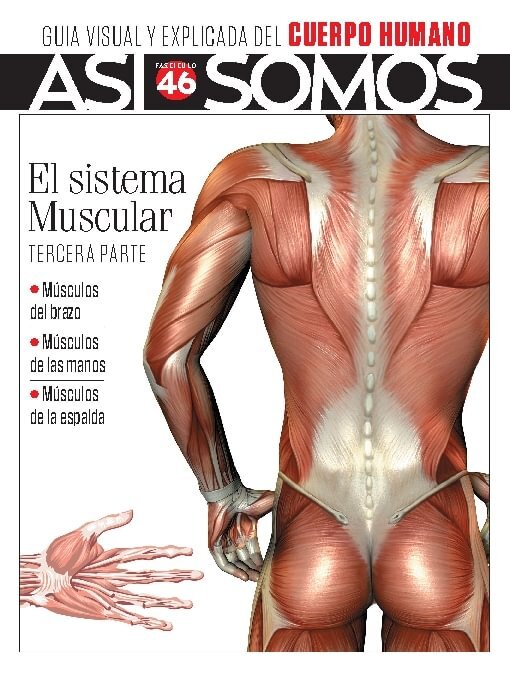 Title details for Así Somos - El cuerpo humano by Media Contenidos - Available